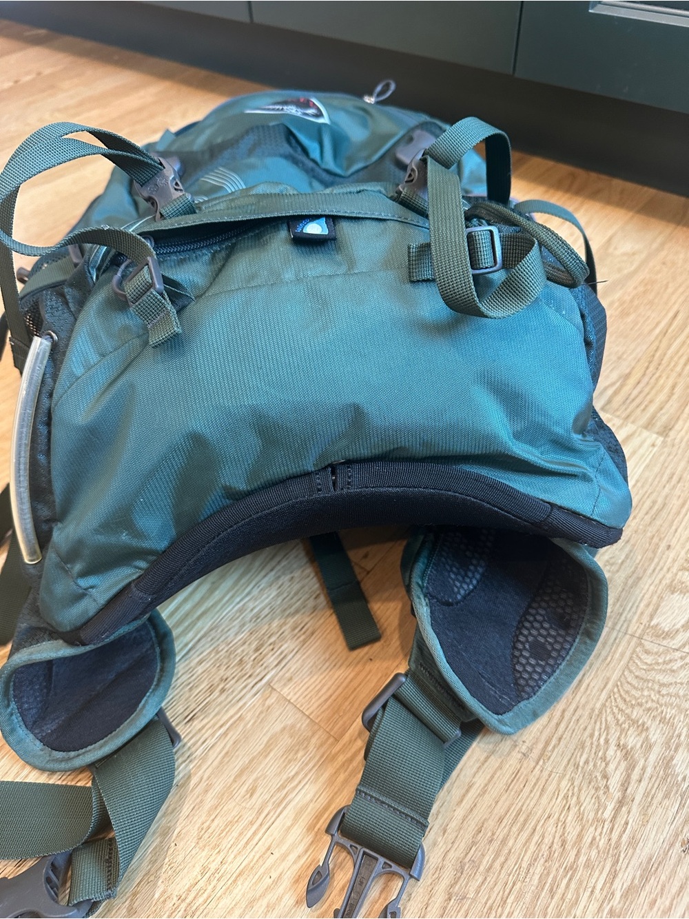 OSPREY Dark Green Backpack with Bright Lime Green Rain Cover Ventilated back - Picture 14 of 14